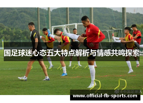 国足球迷心态五大特点解析与情感共鸣探索